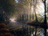 Brume matinale