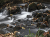 DMN_7723C-copie