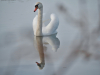 Flavien-P1077590