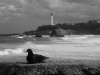 Quesnel-Pigeon-Biarritz