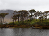 Ile-d'Irlande
