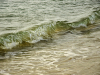 Vague