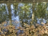 ondes d_automne-light