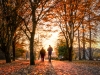 promenade