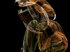 3-Lecture