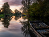 Crépuscule dans les marais