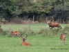 img_0815-800x534
