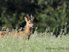 img_9877-800x489