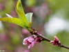 DMN_3626A