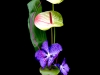 DMN_4087B
