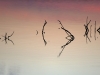 _RAY2412 pano.jpg