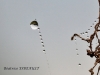 img_4350-800x583