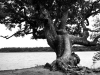 etang-de-la-mer-rouge-96