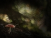 602_8053W