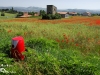 Rouge coquelicot S.jpg