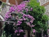 croatie1