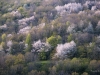 dsc_33849r2wi