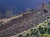 dscn8163-nepal