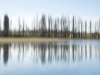 flou-arbres-valdo