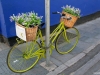 irlande4213