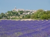 la-garde-adhemar-mdp_1368