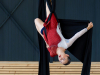 le-cirque_2024
